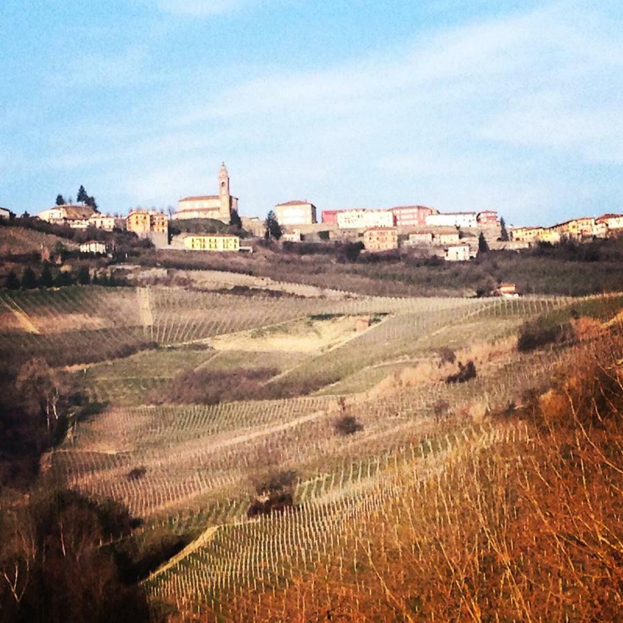 Cascina Maina Villa Diano dʼAlba Kültér fotó