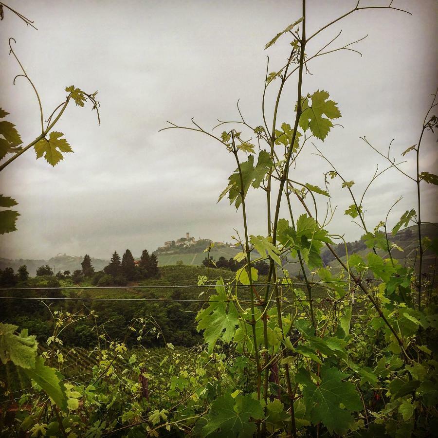 Cascina Maina Villa Diano dʼAlba Kültér fotó